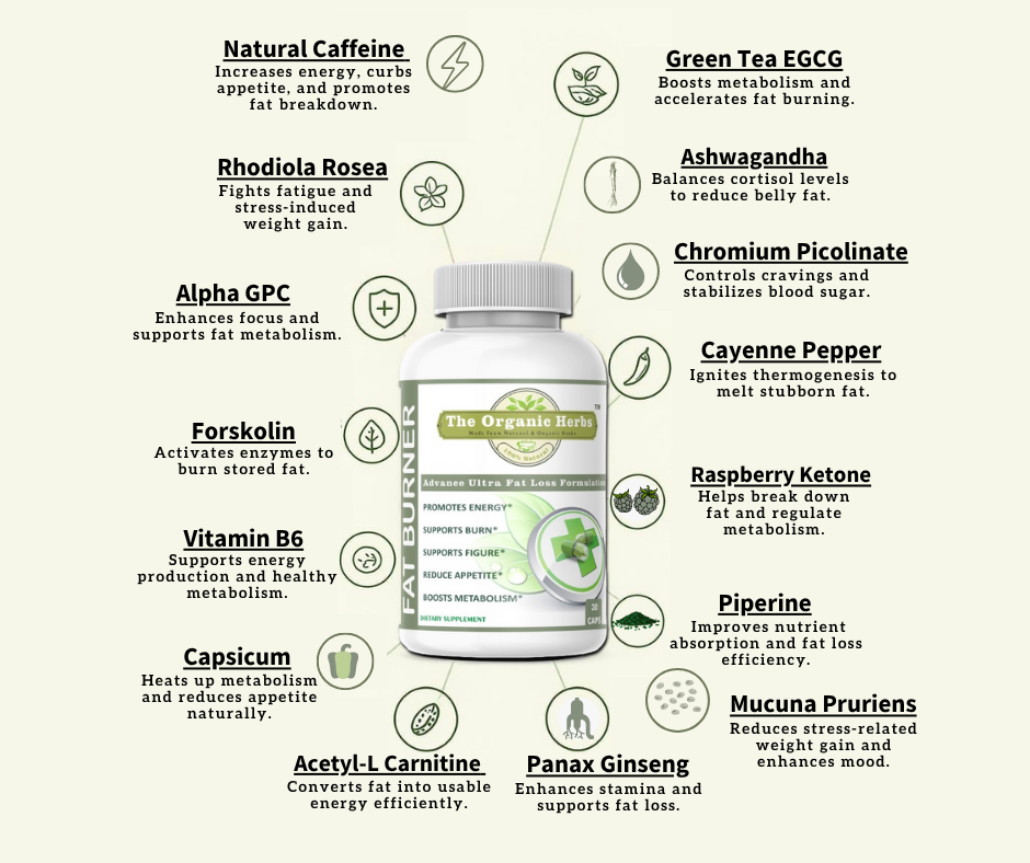 Fat Burner bottle with health benefits listed on a white background