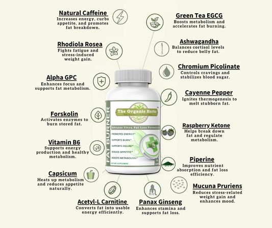 🔥 Ultra Fat Burner – Maximum Strength Thermogenic Formula 🔥