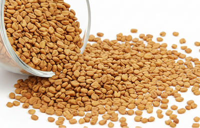 Fenugreek